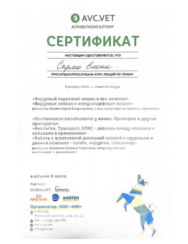 Документ или сертификат