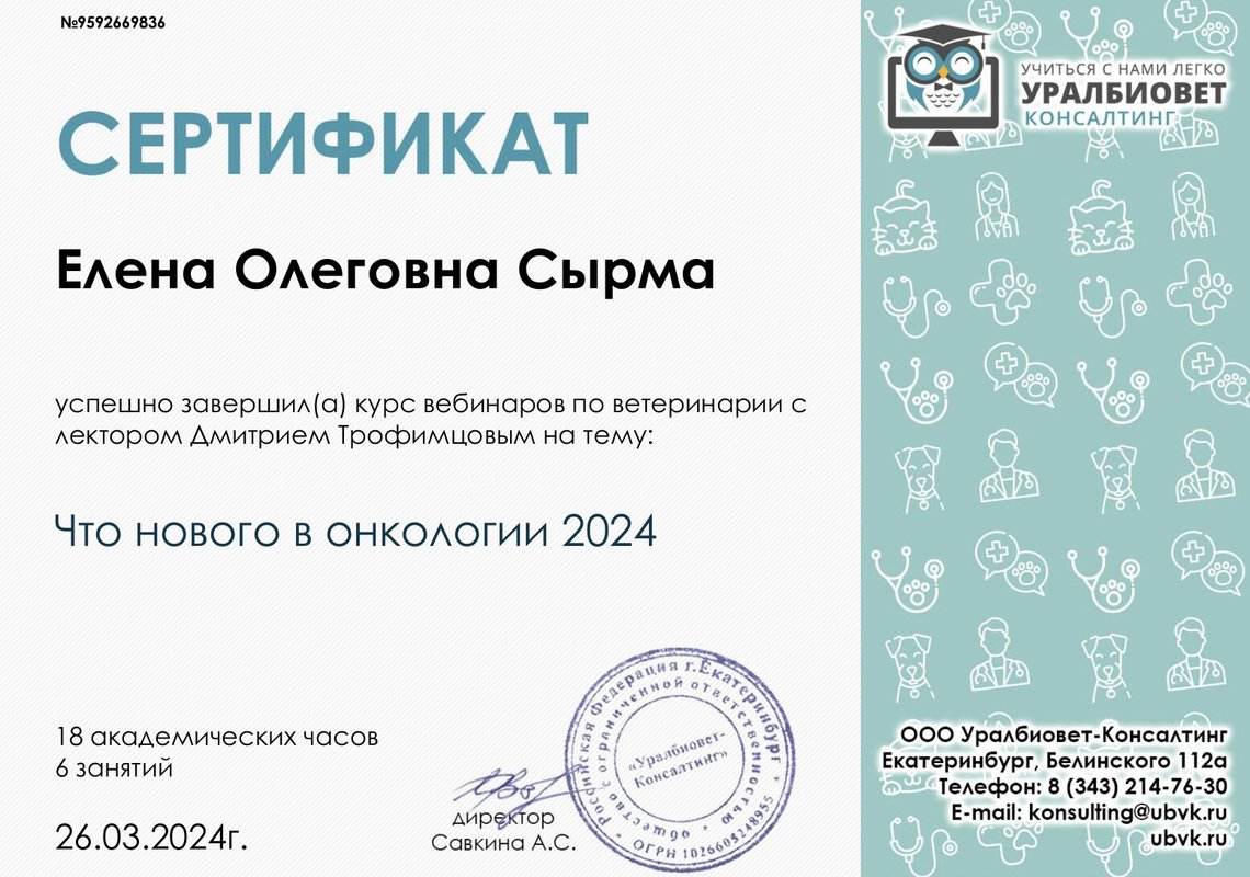Документ или сертификат