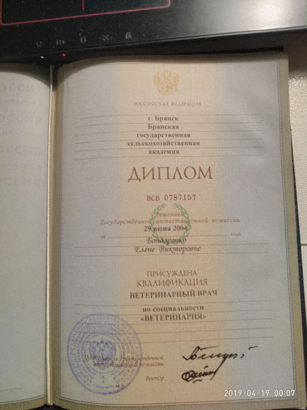 Документ или сертификат