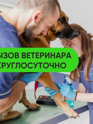 Фото врача Пантюлин Андрей