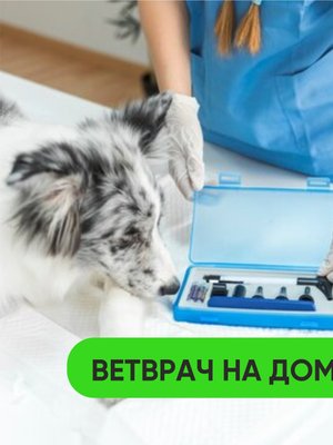 Фото врача Понамарева Александра