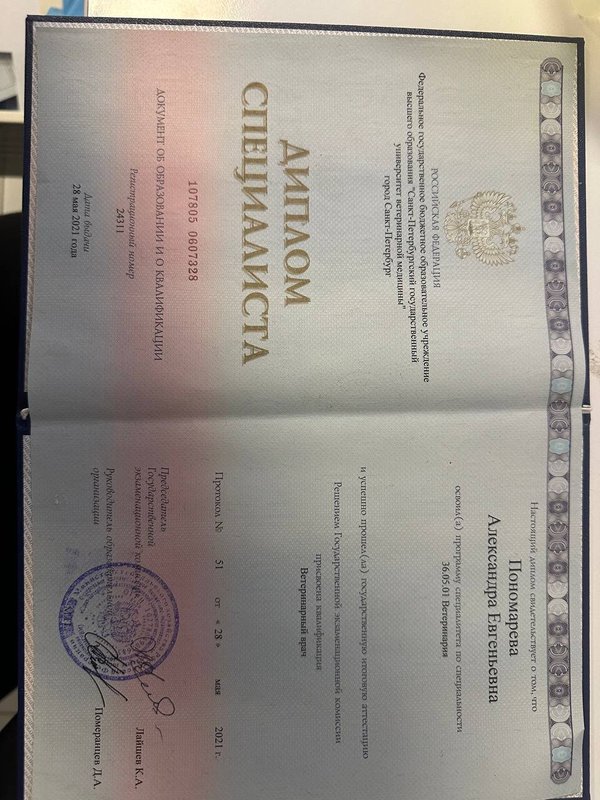 Документ или сертификат
