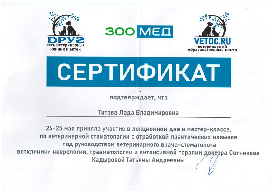 Документ или сертификат