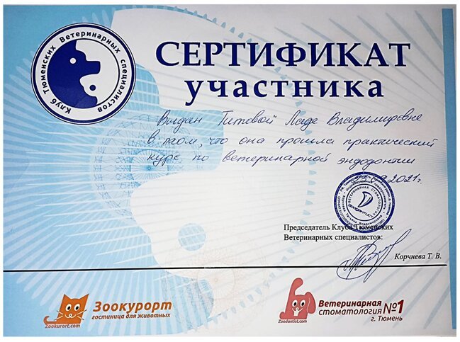 Документ или сертификат