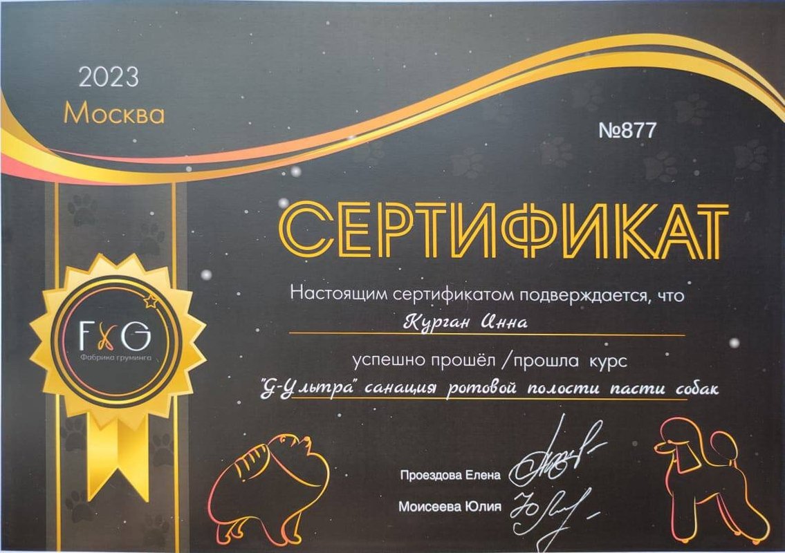 Документ или сертификат