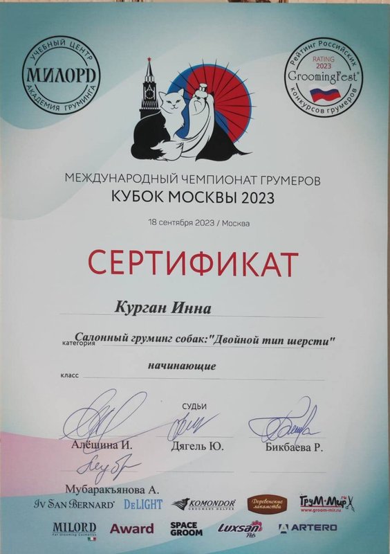 Документ или сертификат