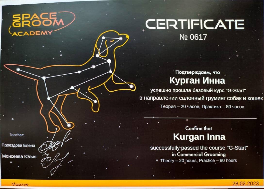 Документ или сертификат