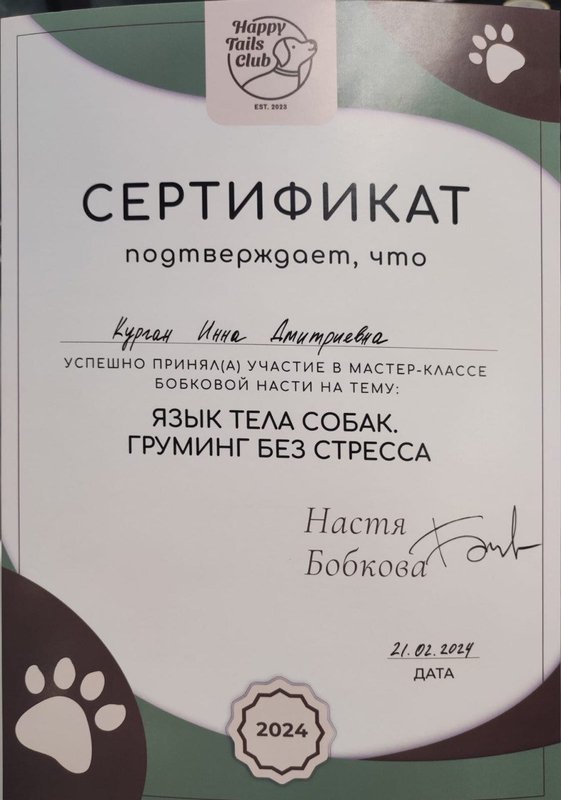 Документ или сертификат