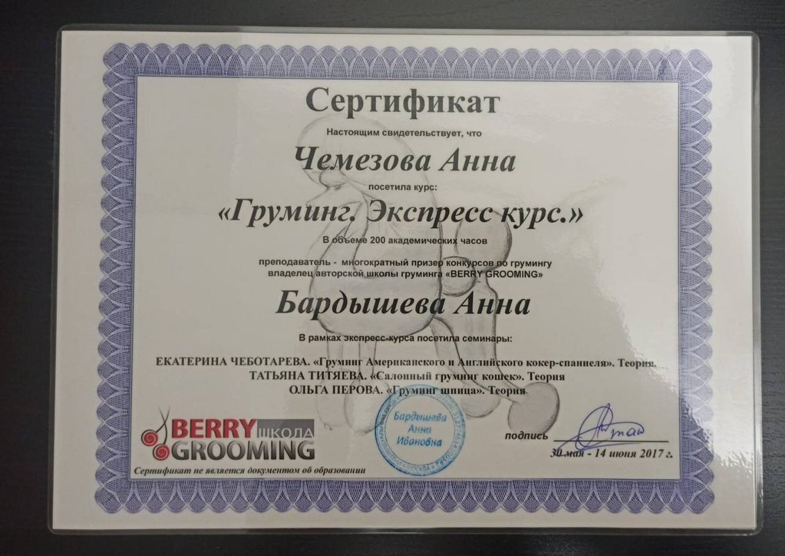 Документ или сертификат