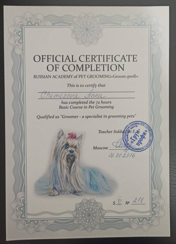 Документ или сертификат