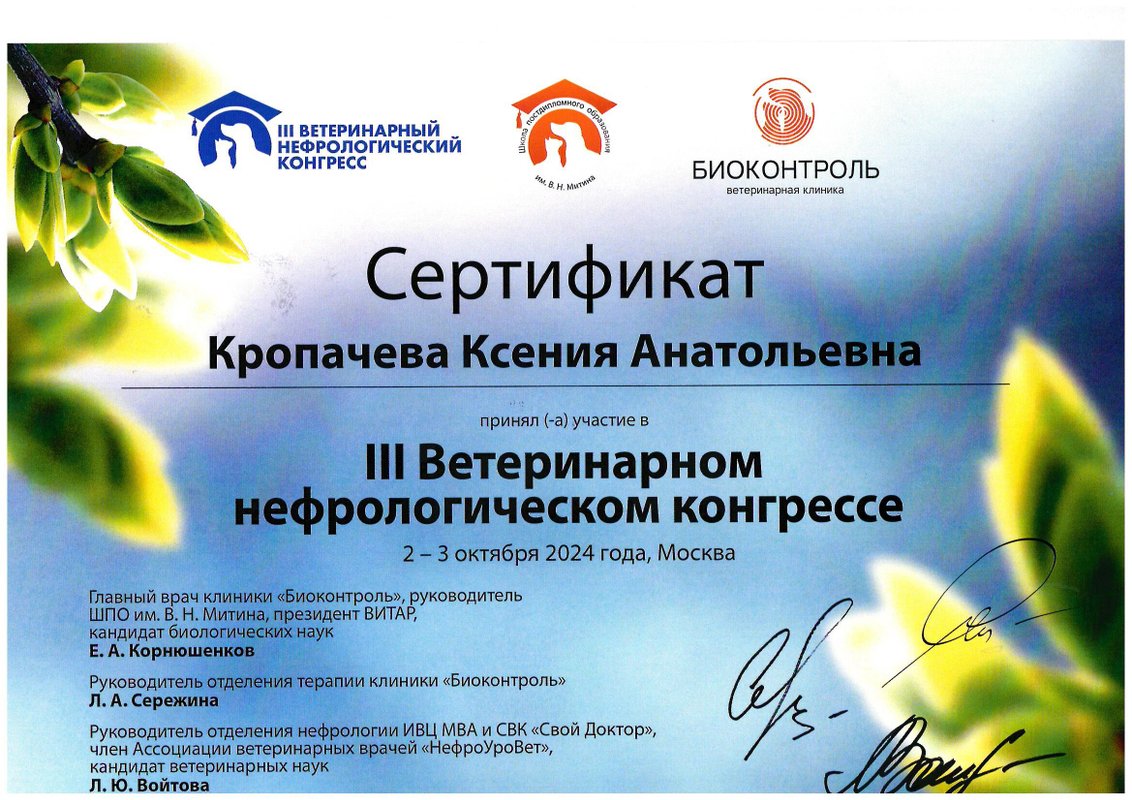 Документ или сертификат