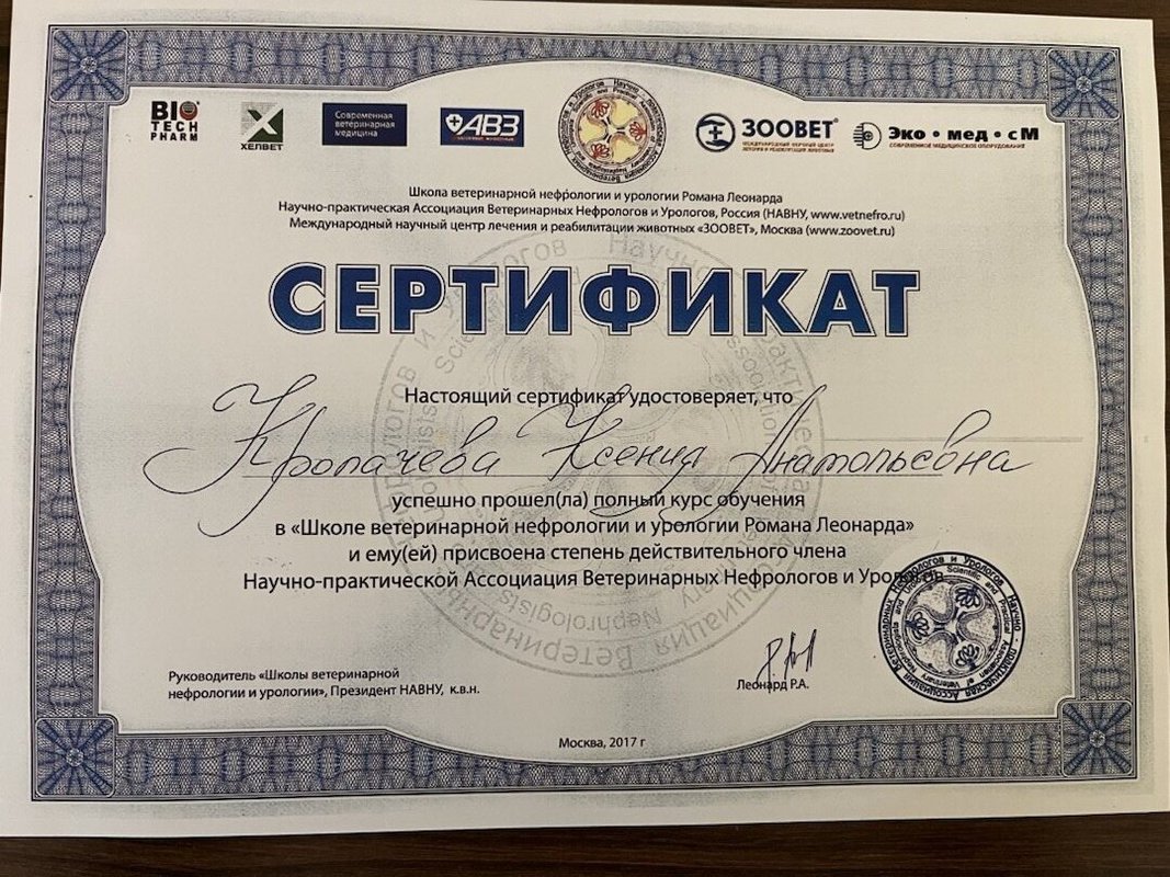 Документ или сертификат