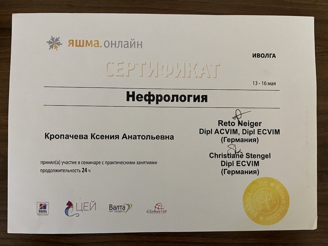 Документ или сертификат