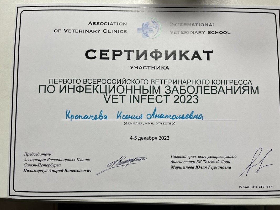 Документ или сертификат