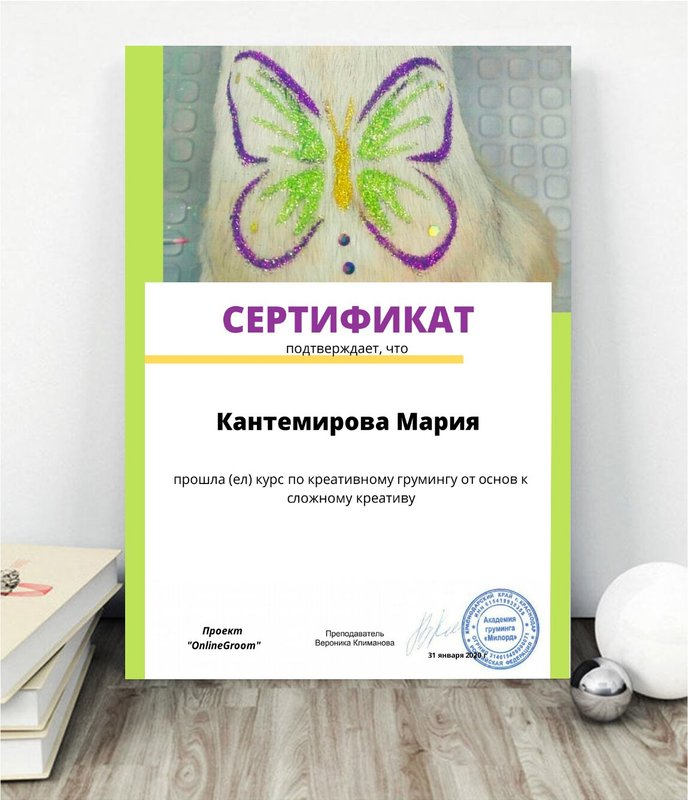Документ или сертификат