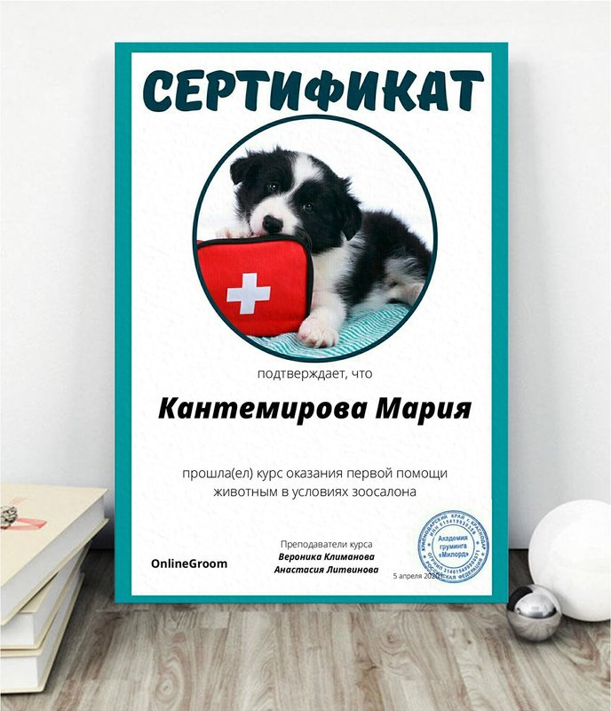 Документ или сертификат