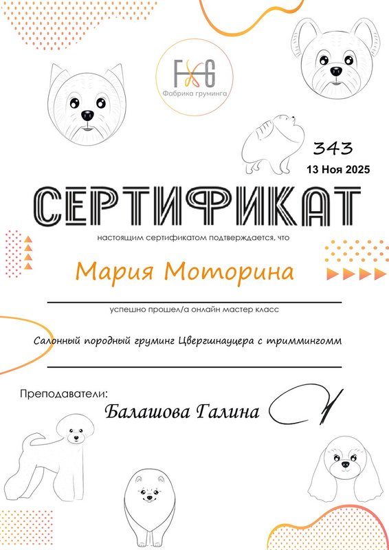 Документ или сертификат