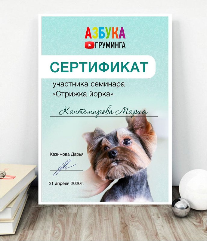 Документ или сертификат