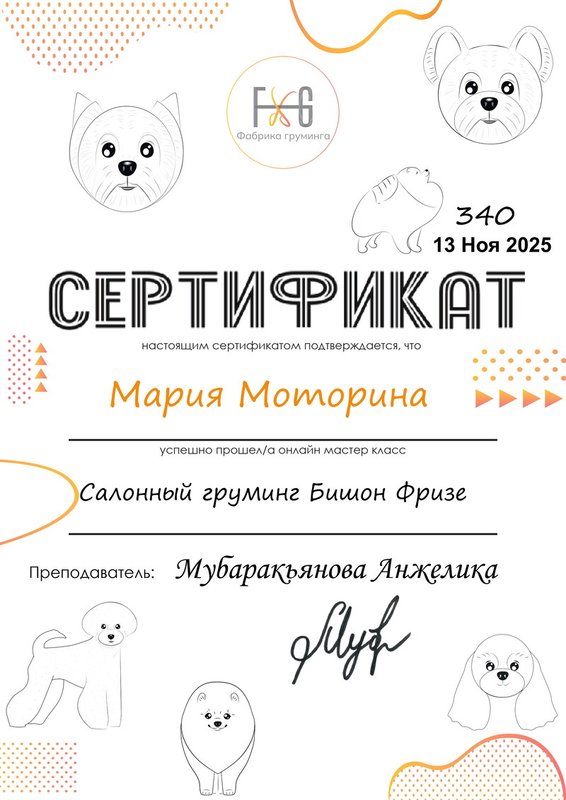 Документ или сертификат