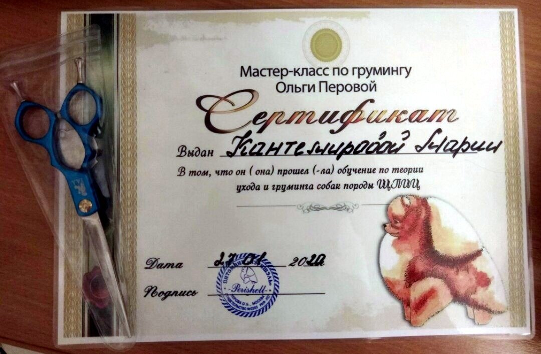 Документ или сертификат