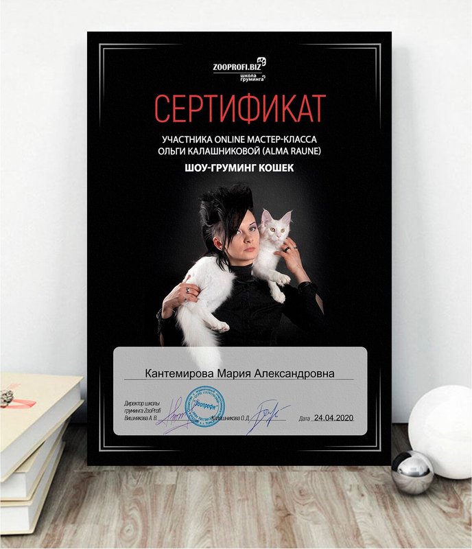 Документ или сертификат