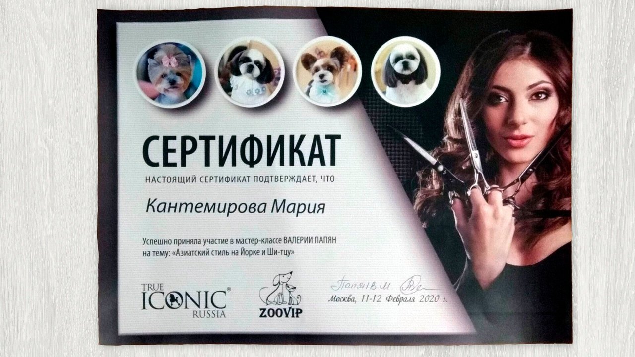 Документ или сертификат