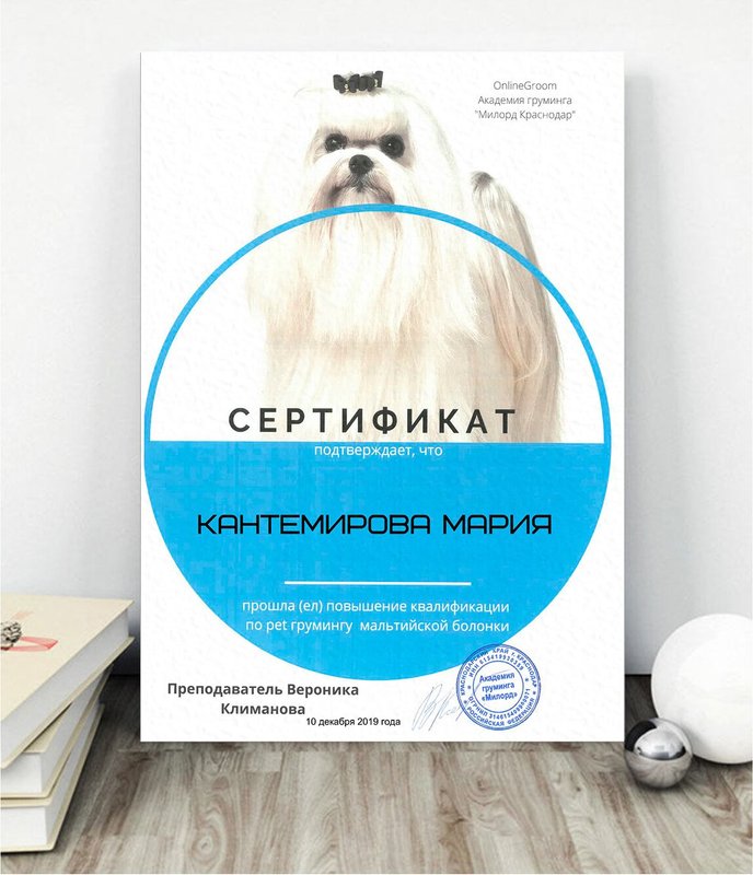 Документ или сертификат