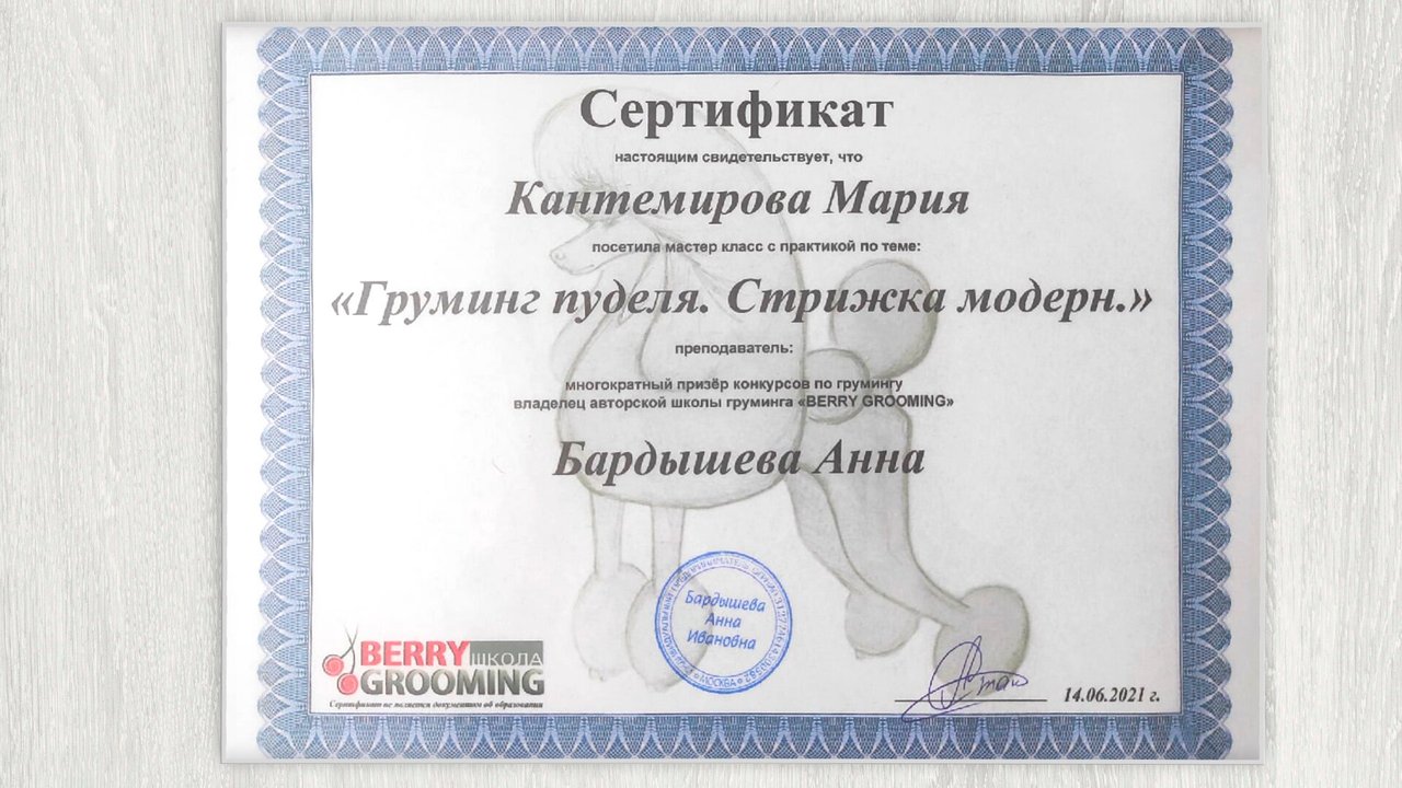 Документ или сертификат