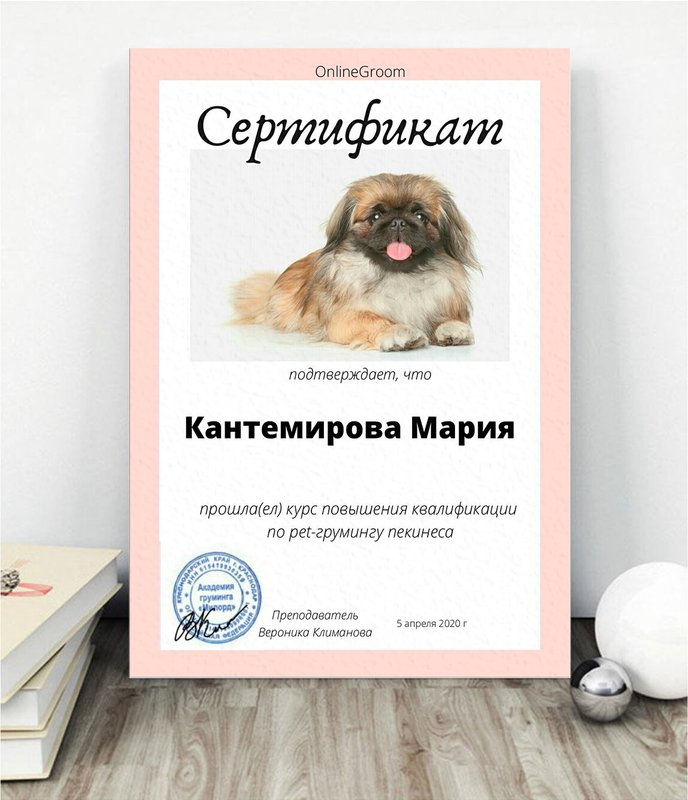 Документ или сертификат