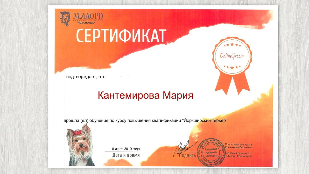 Документ или сертификат
