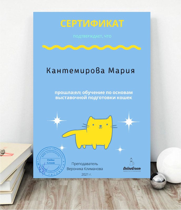 Документ или сертификат