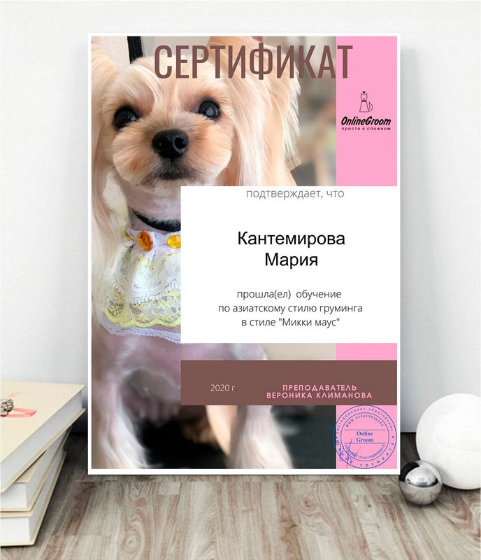 Документ или сертификат