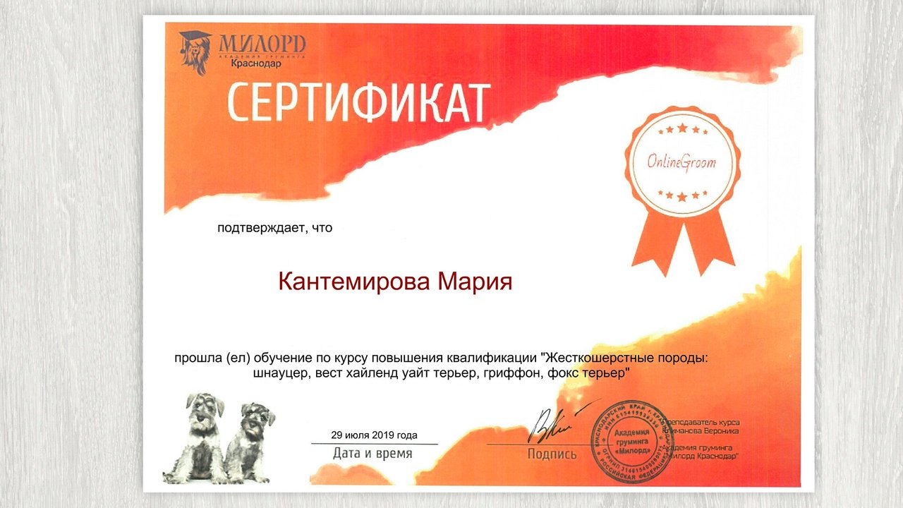 Документ или сертификат