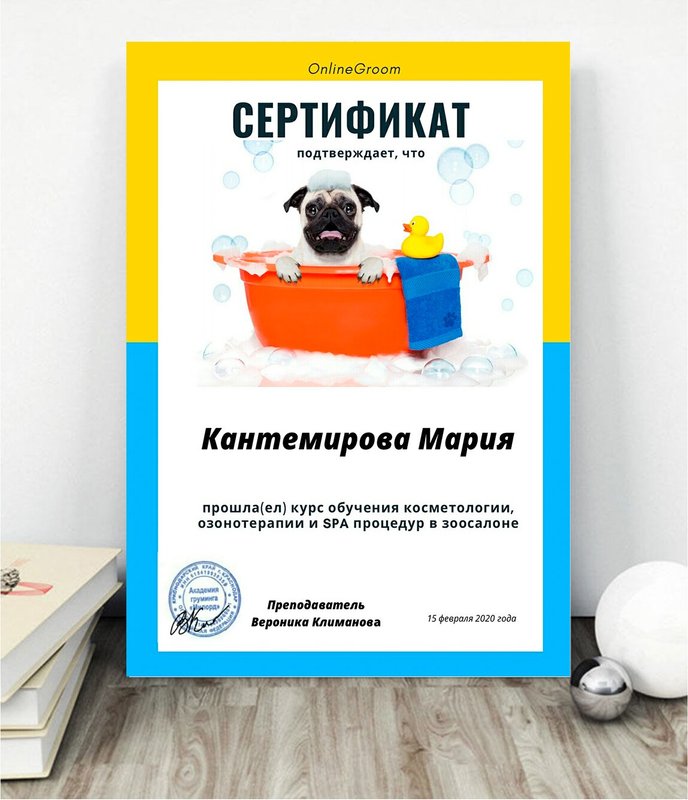 Документ или сертификат