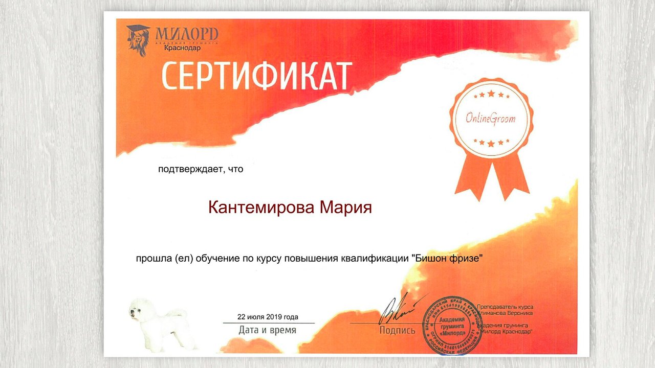 Документ или сертификат