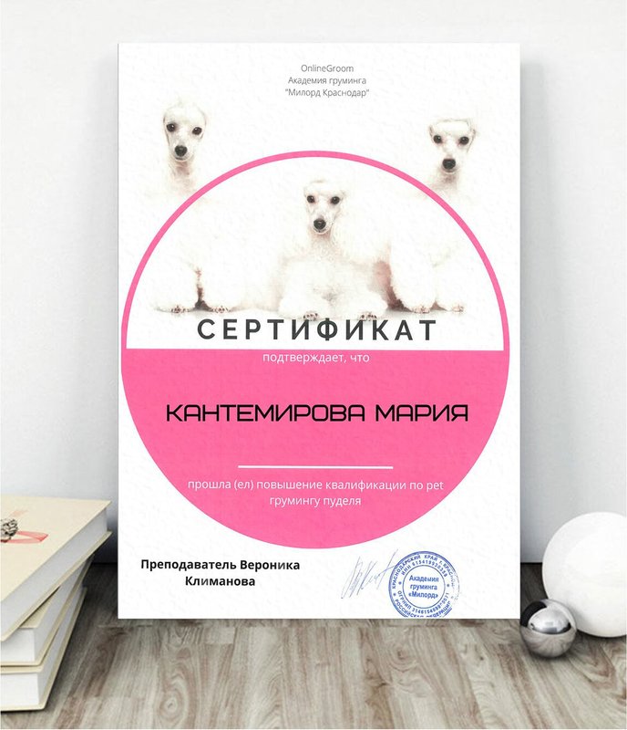 Документ или сертификат
