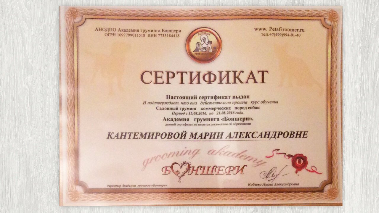 Документ или сертификат
