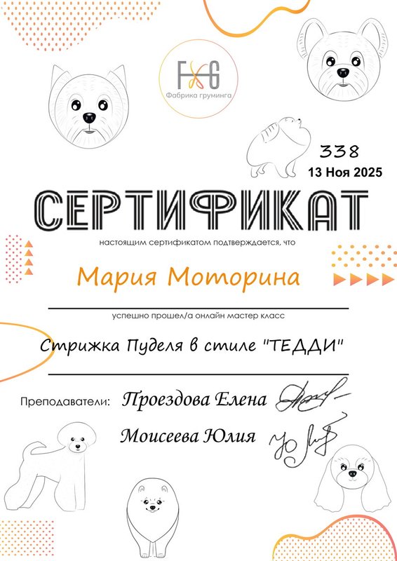 Документ или сертификат