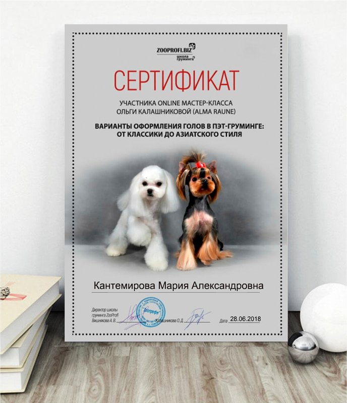 Документ или сертификат