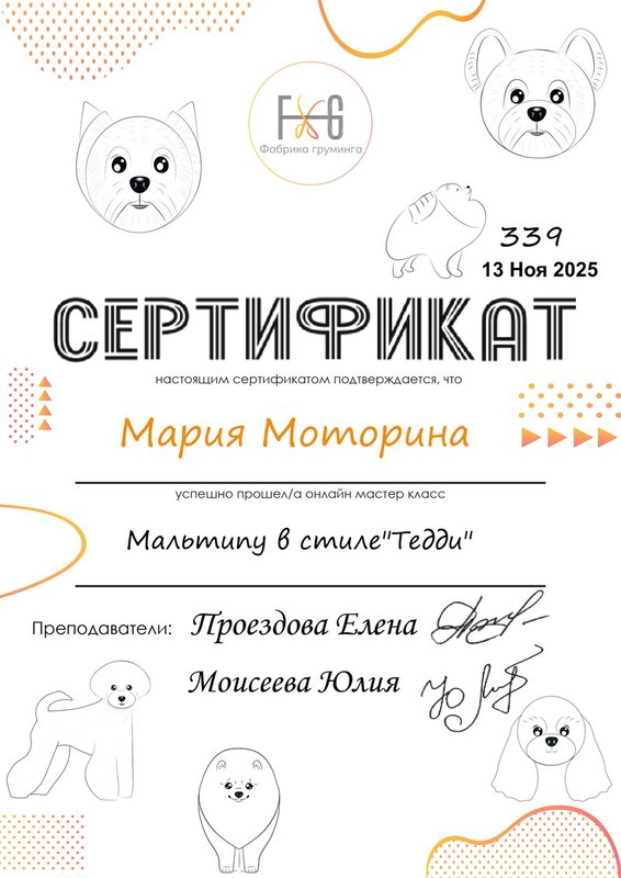Документ или сертификат