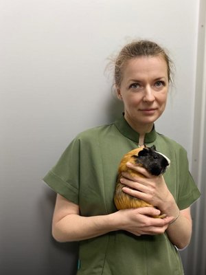 Фото врача Олифиренко Екатерина Владимировна