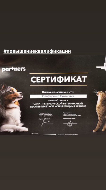 Документ или сертификат