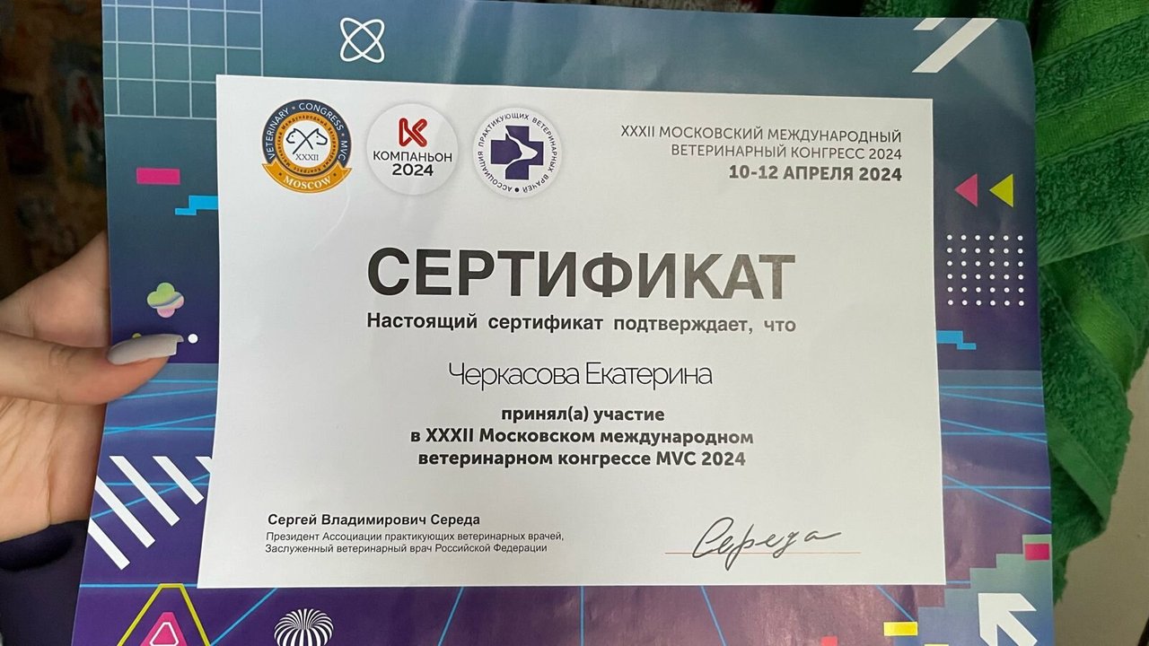 Документ или сертификат