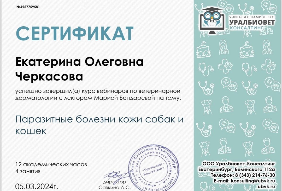 Документ или сертификат