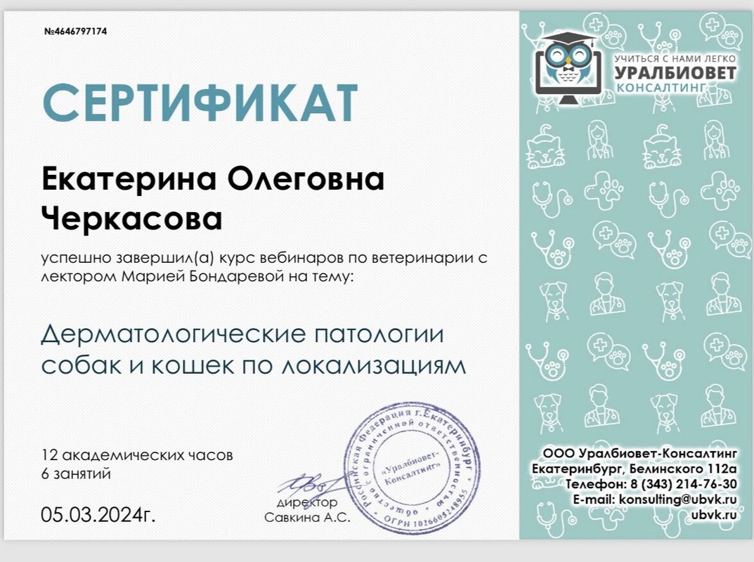 Документ или сертификат