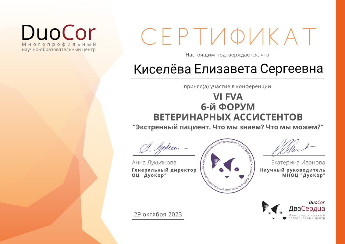 Документ или сертификат