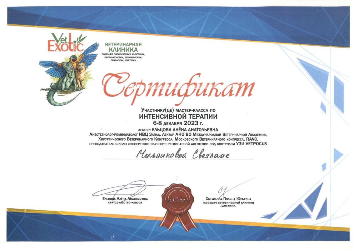 Документ или сертификат