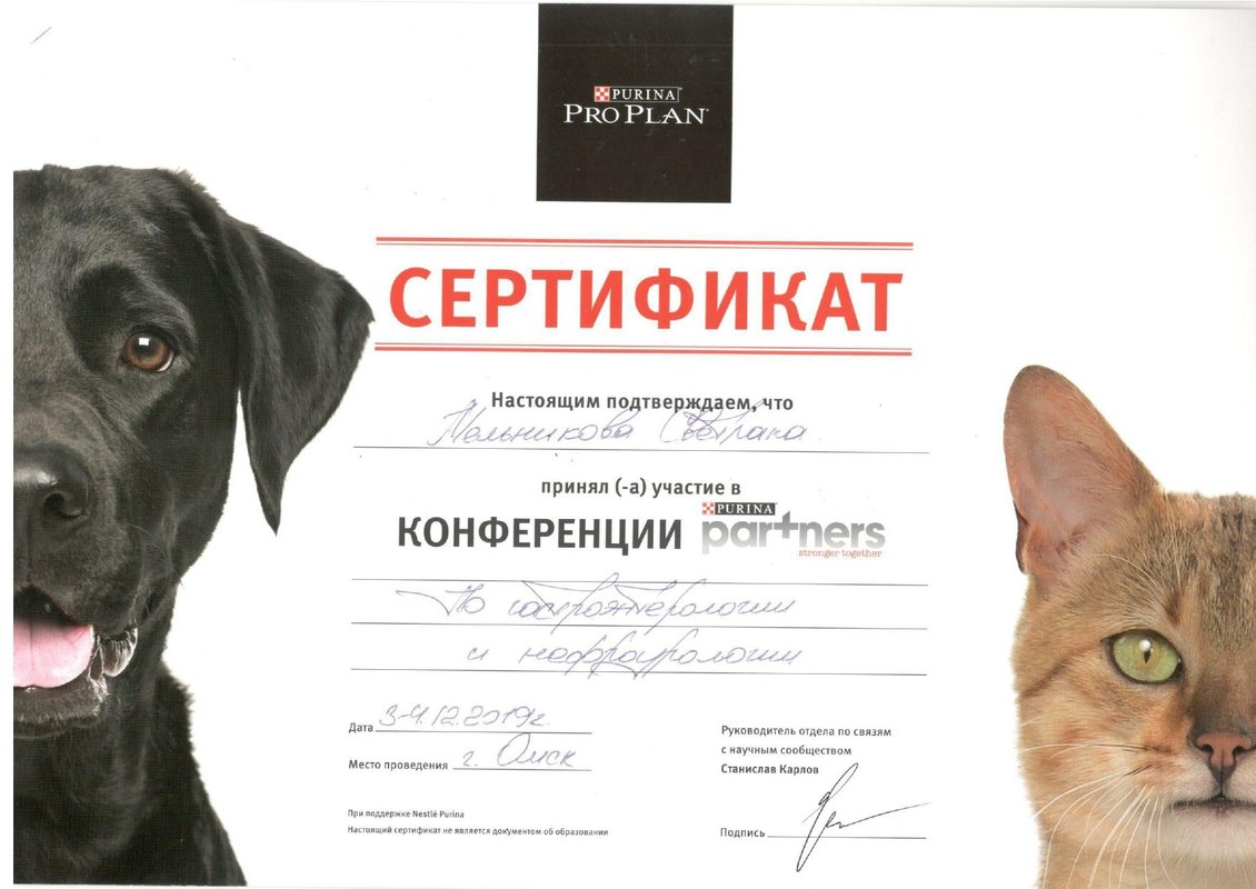Документ или сертификат