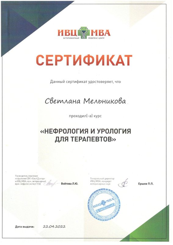 Документ или сертификат
