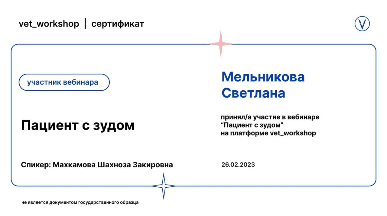 Документ или сертификат